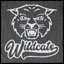 Davidson- Wildcat